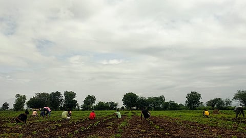 मध्य प्रदेश सह पहाडपट्टीतील हजारो मजूर कामाच्या शोधात सपाटीवर!