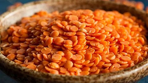 मसूर डाळ होणार स्वस्त, केंद्र सरकारने घेतला मोठा निर्णय