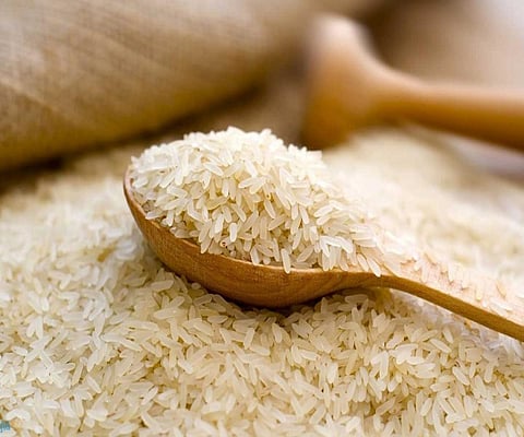 plastic rice