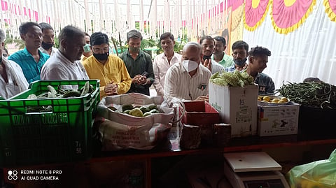 सेंद्रीय भाजीपाला , वसमत