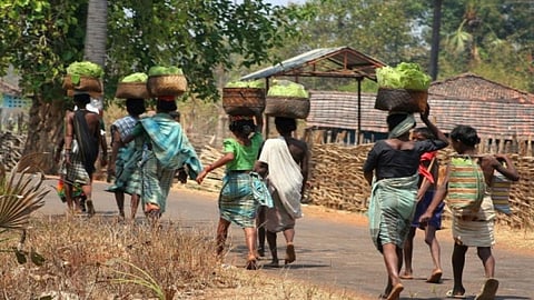 tribal society