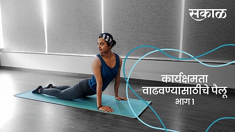 कार्यक्षमता वाढवण्यासाठीचे पैलू- भाग १