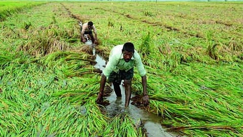 Kharif season 2021