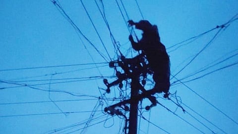 Wireman 