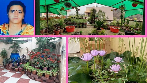 छंदातून फुलवली गच्चीवर बाग! उत्पन्नही सुरू; मिळतोय ऑक्‍सिजनही