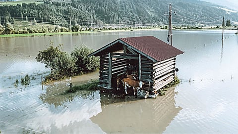 Flood
