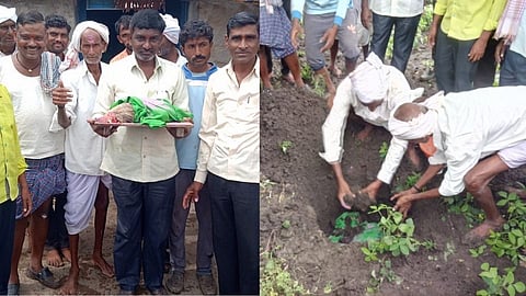 nanded