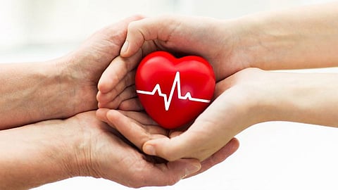 heart health update Special plan Care Heart for heart patients doctor