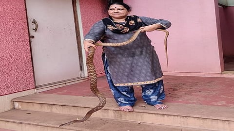 corporator caught sneak