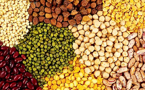 Pulses Rate  : तूरडाळ, हरभरा डाळींचे दर घसरल्याने दिलासा...तूर डाळ २० रुपये, हरभरा, मूग डाळ सहा ते सात रुपयांनी स्वस्त 