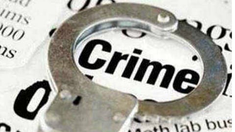 चक्क महिलेने गुंडांना शिकविला धडा; पिस्तूलच हिसकली