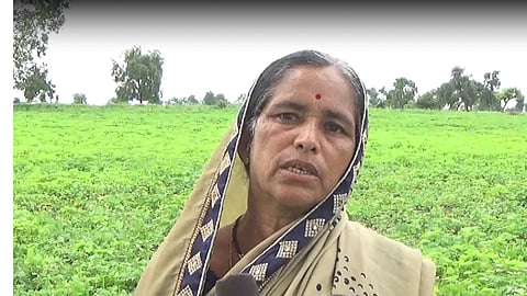 farmer