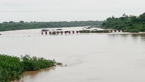 godavari river