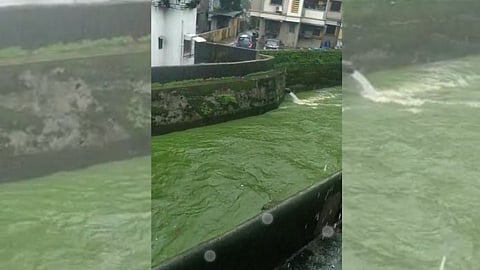डोंबिवलीतील नाला झाला चक्क हिरवा