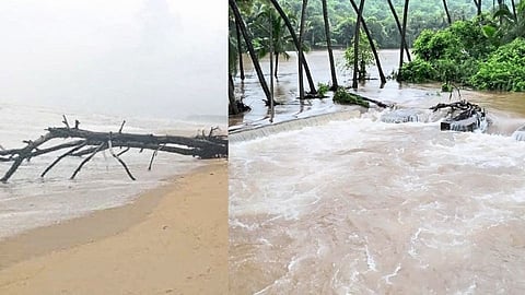 समुद्राला उधाण; शिरोडा बिचवरील  झाडे, विद्युत खांब कोसळले 