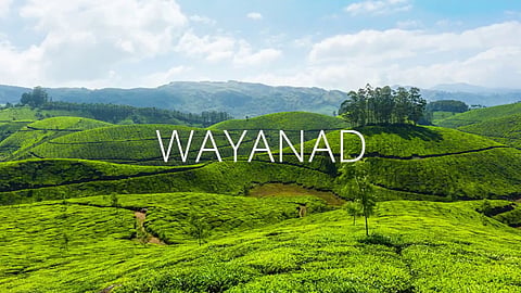 wayanad