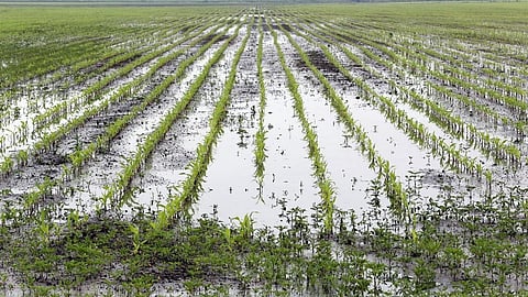 heavy rainfall