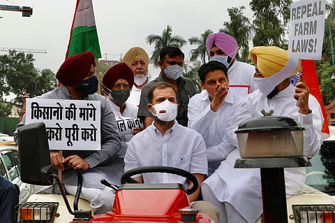 राहुल गांधींच्या ट्रॅक्टरला पोलिसांचा 'ब्रेक', नेत्यांनाही घेतलं ताब्यात