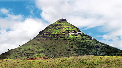 Chamarleni, Nashik