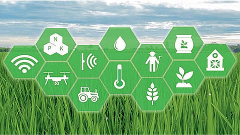Agriculture