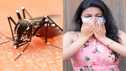 dengue in nanded