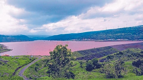 Marathwadi Dam