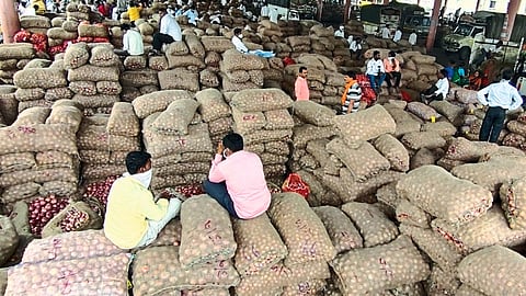 onion market