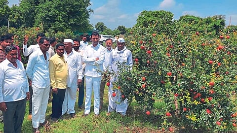 shankarrao gadakh