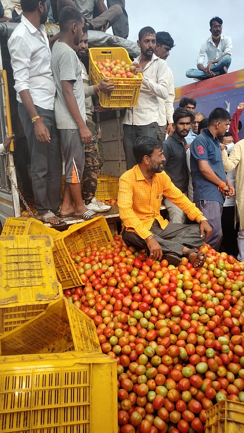  टॉमेटो क्रेटला उच्चांकी ८५० रुपये भाव 