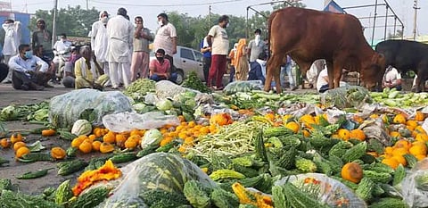 farmer