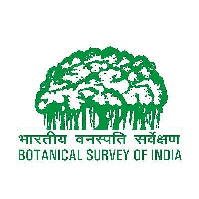 bsi