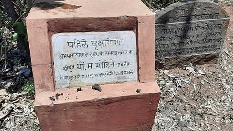 सागरेश्वरमधील 'त्या' पहिल्या झाडाचा आज सुवर्ण महोत्सव