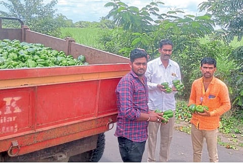 Farmers