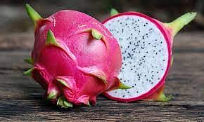 dragan fruit