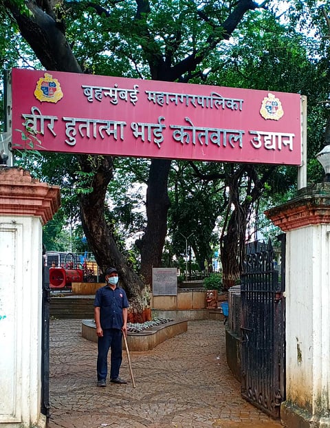 bmc garden