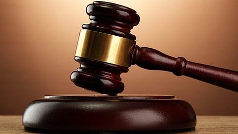 Alibaug court sentenced accused found guilty in theft case to plant 30 trees