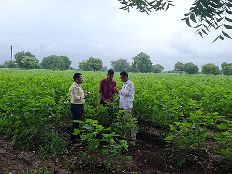 E crop inspection