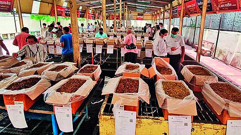 sangli 