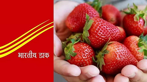 Strawberries