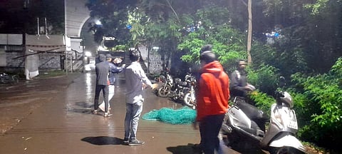 सातारा: जिल्‍हाधिकारी कार्यालयाच्‍या आवारात बिबट्या