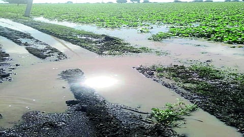 solapur