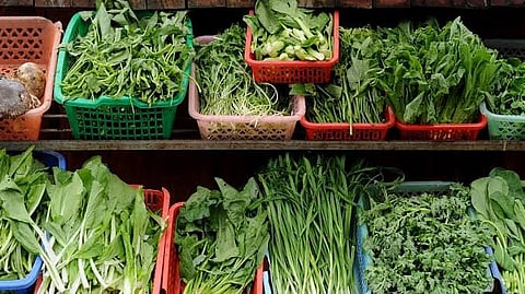 vegetables