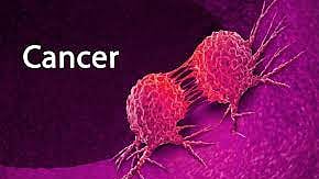 cancer study