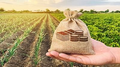 crop loan