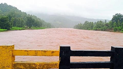 tribals in the western part of trimbakeshwar taluka have to face drought after monsoon floods  