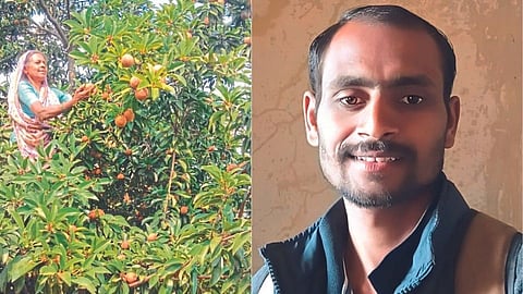 farmer
