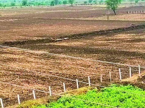 nanded