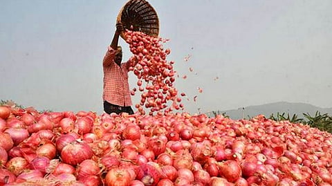 onion 