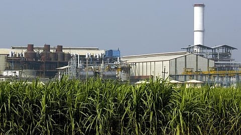 sugar factory