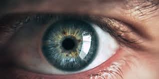 vision